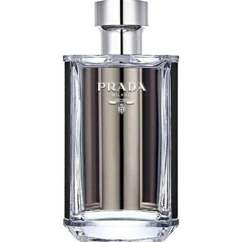 l'homme prada review|Prada l'homme house of fraser.